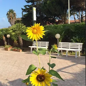 Fiori Gialli Caucana Santa Croce Camerina