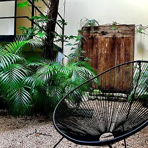Una Luna Confortable Studio-adults Only Tulum
