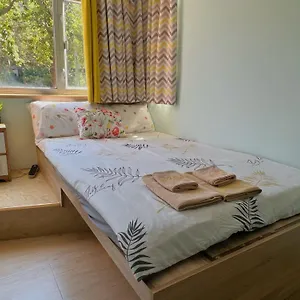 Amu Dreamhouse 阿木旅舍 旅馆